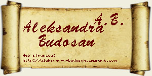 Aleksandra Budošan vizit kartica